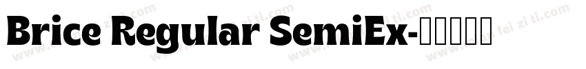 Brice Regular SemiEx字体转换